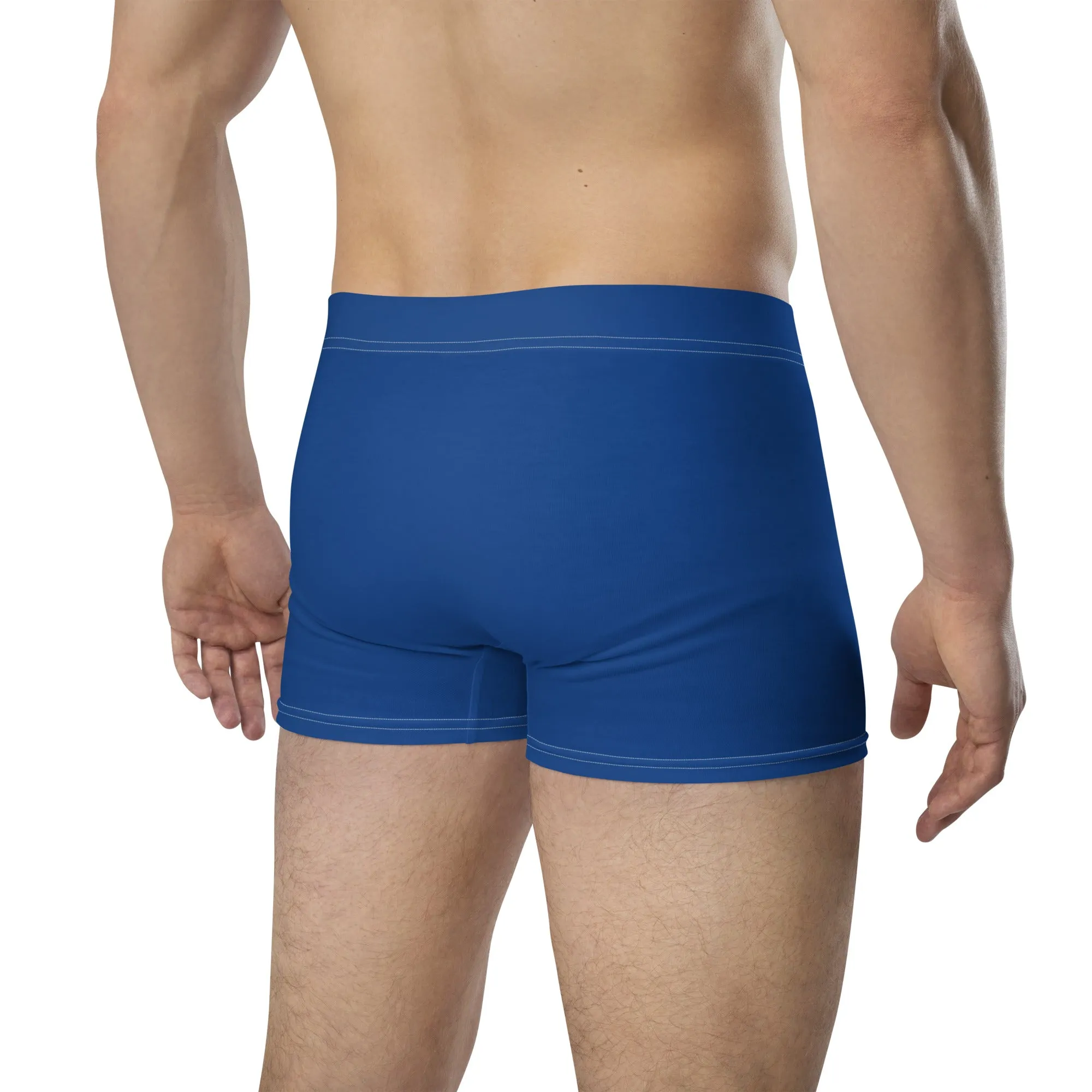 Descendants of The Island Dark Cerulean Boxer Briefs