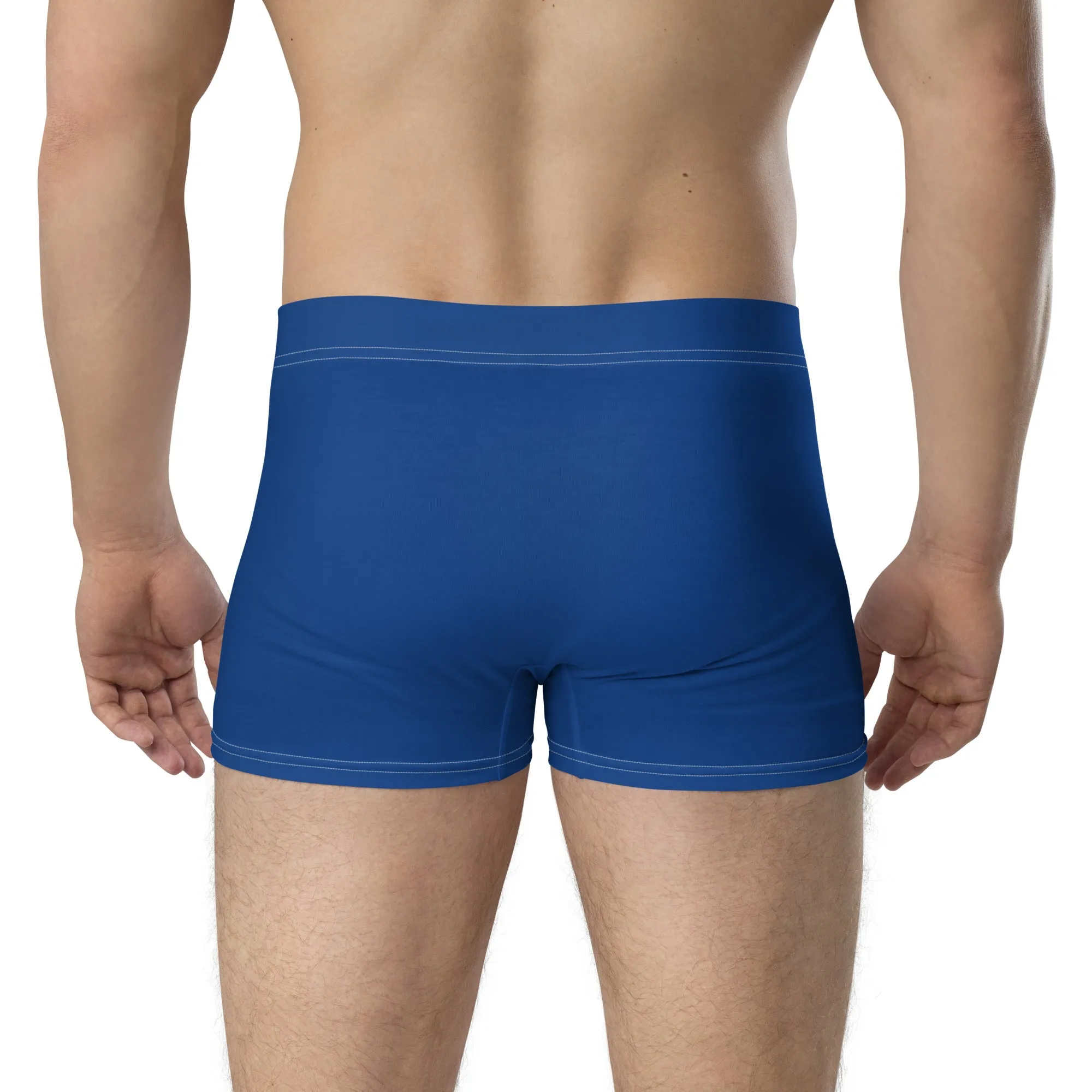 Descendants of The Island Dark Cerulean Boxer Briefs