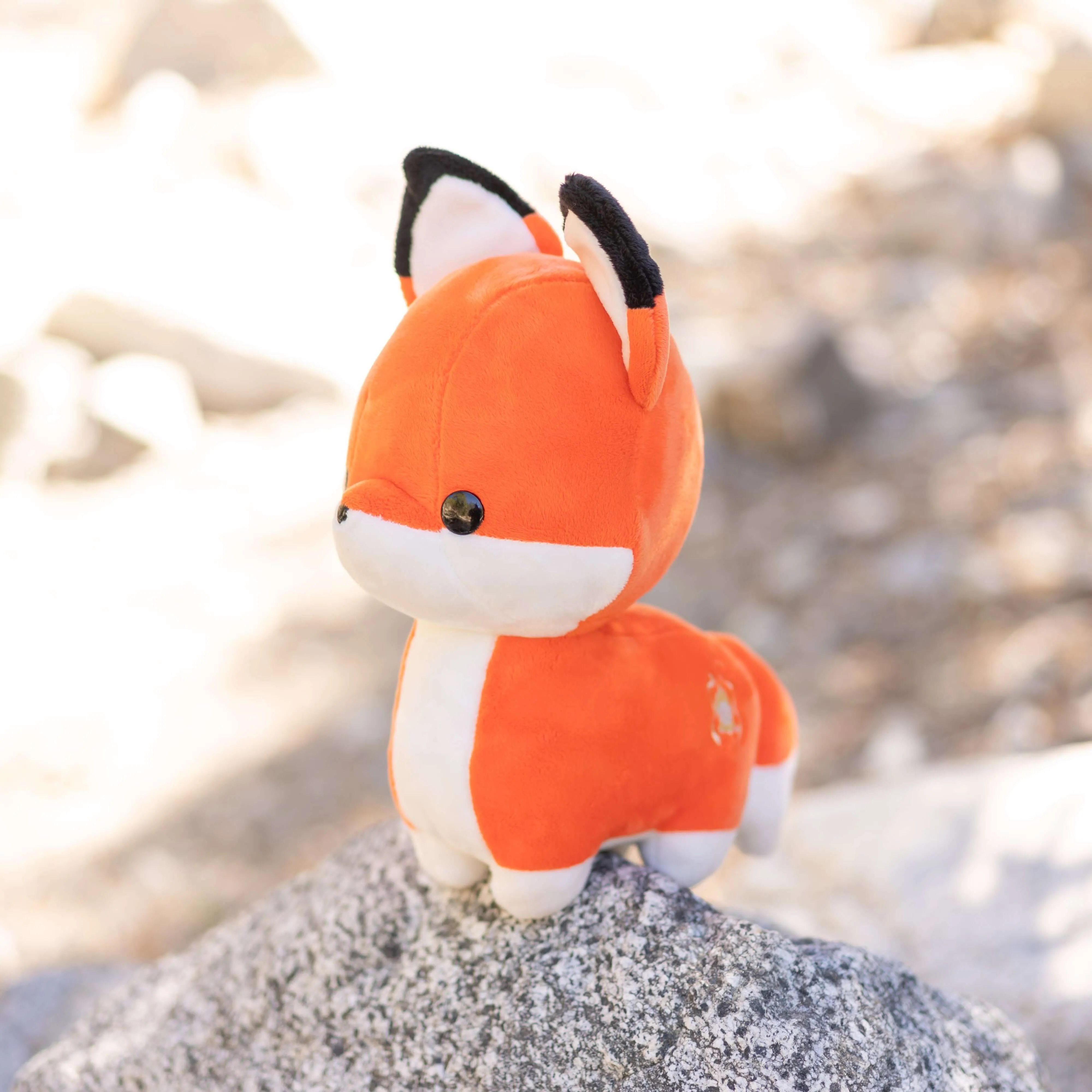 Foxxi the Fox