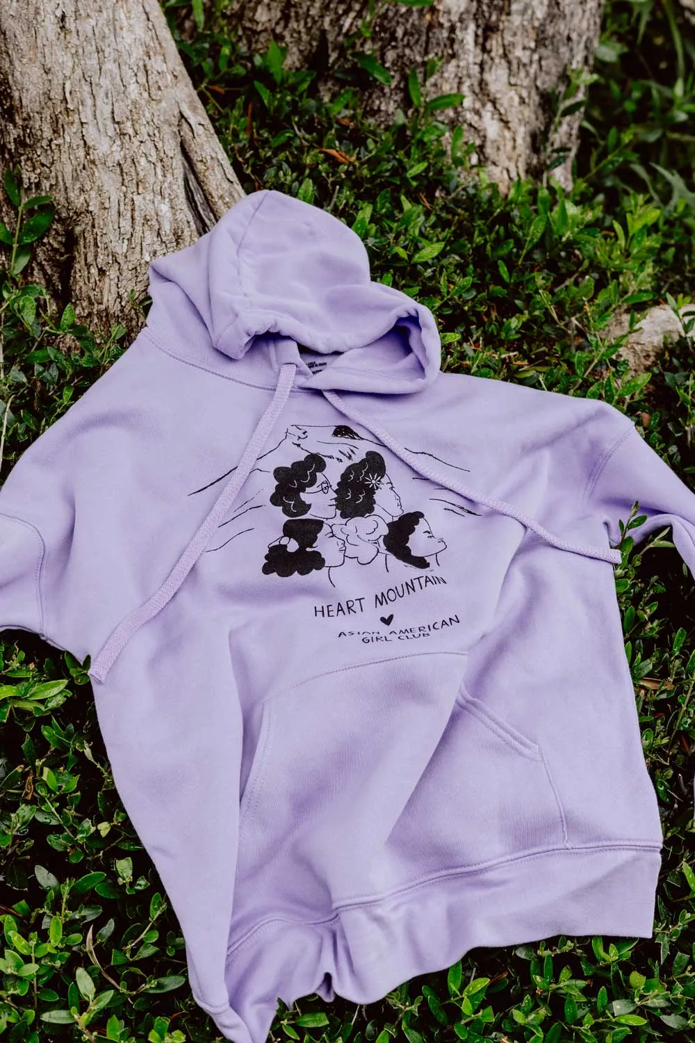 Heart Mountain Hoodie (Unisex)