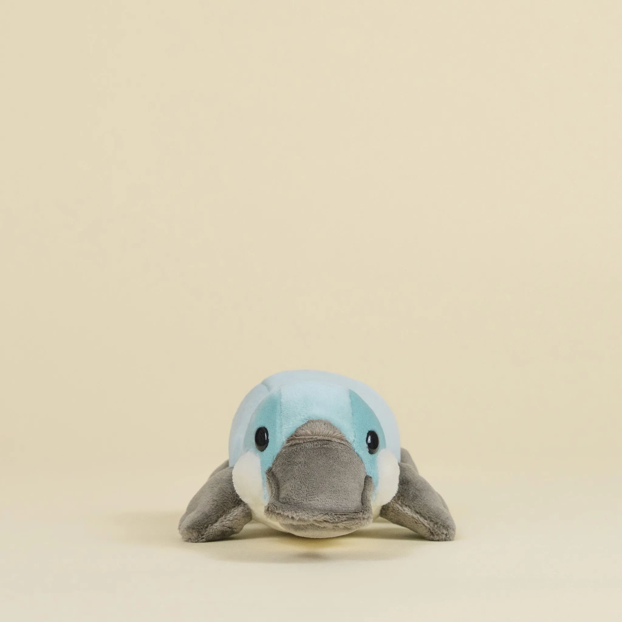 Mini Plati the Platypus