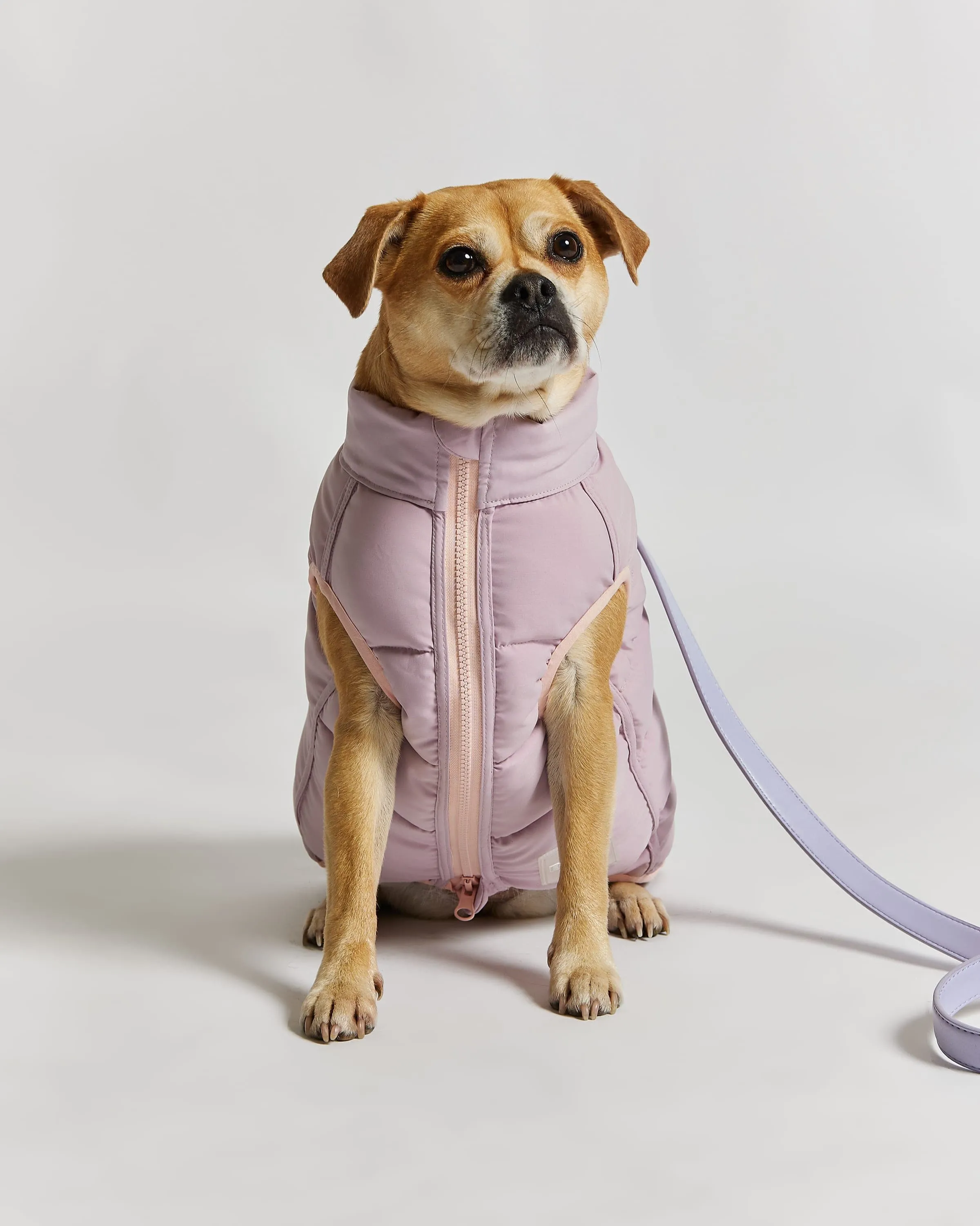 Reversible Recycled Padding Dog Puffer Jacket | Pink & Lilac