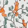 Squirrel Print Girls Briefs